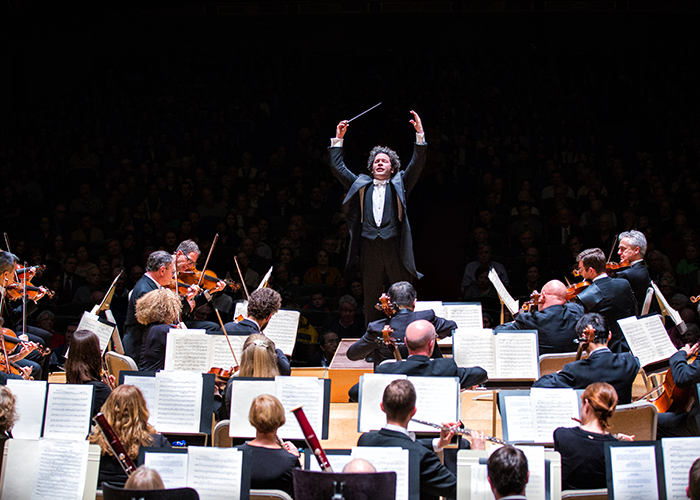 Conductor in front of orchestra